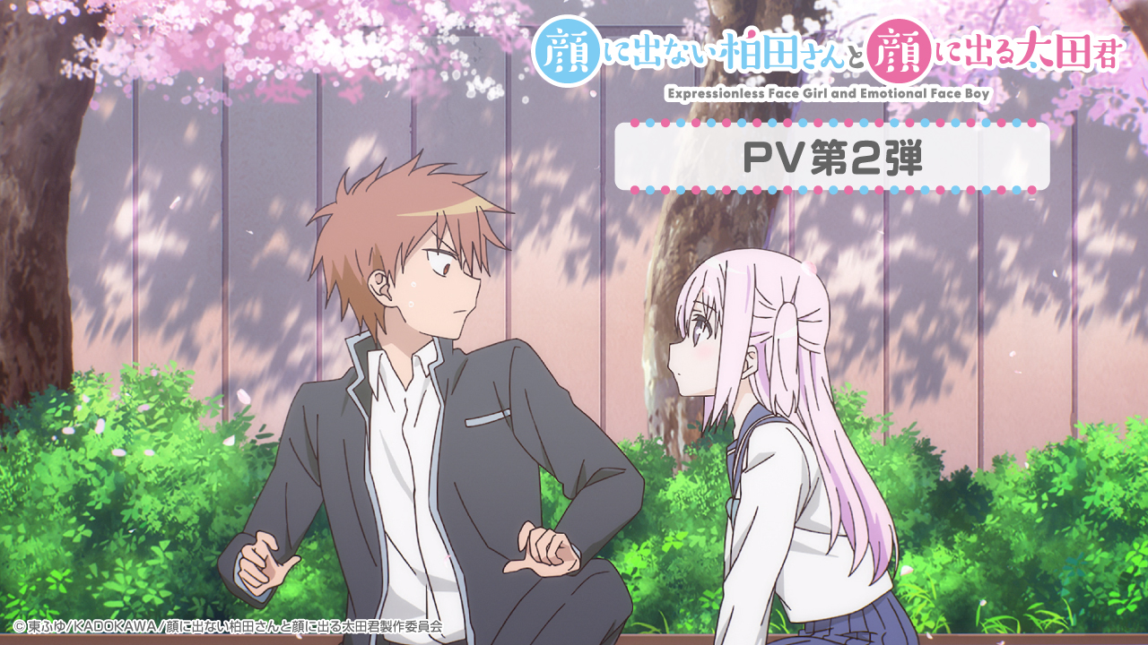 انمي Kao ni Denai Kashiwada-san to Kao ni Deru Oot